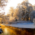 River In The Winter