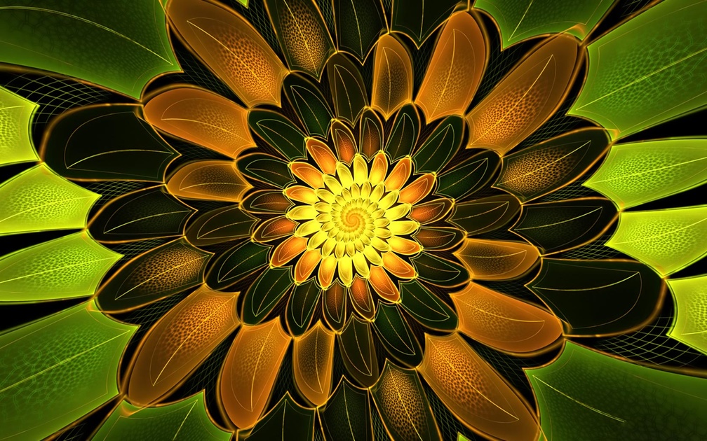 Spiral Petals Widescreen Wallpaper