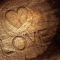 Love Quote On Wood HD