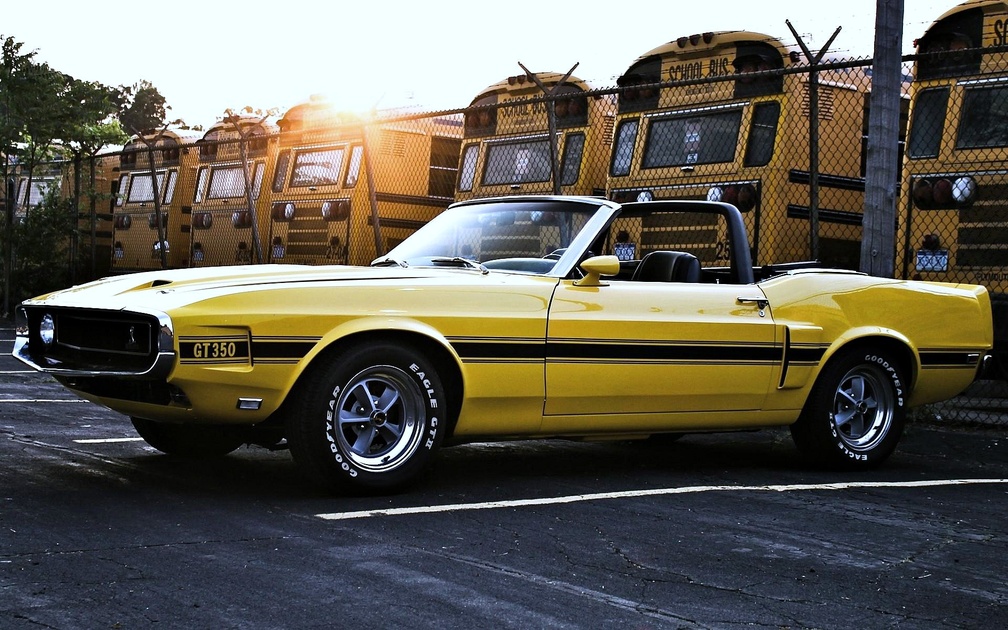 1969 Mustang Shelby GT350