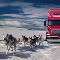 fantasy truck powered by dogs