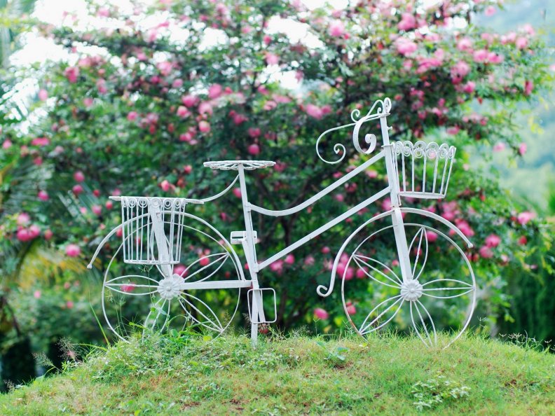 bicycle_and_flowers.jpg