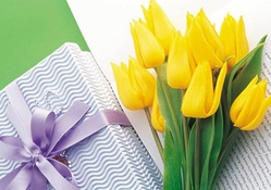 Yellow Tulips and Gift