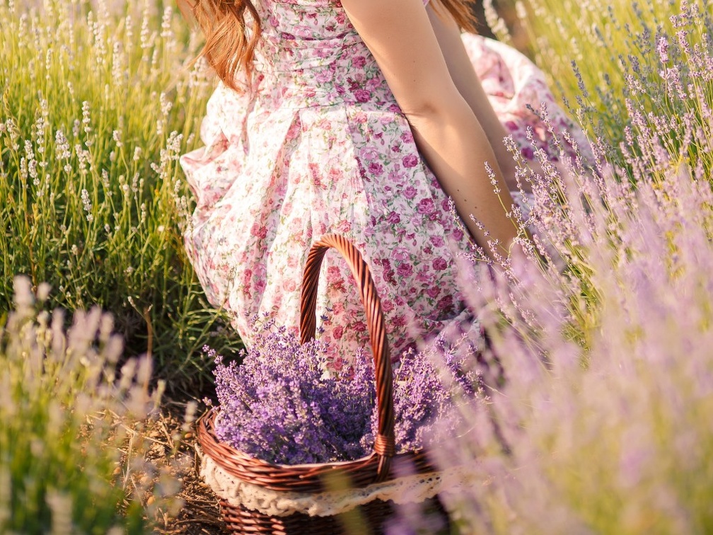 Молодая девушка стоит на коленях в трусиках в цветочек фото