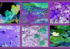 Purple Floral Abstract