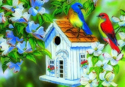 Bird's House