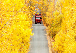 Red Truck in Autumn