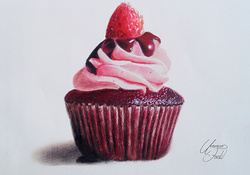 Chocolate Cupcake with Raspberry
