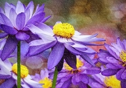 Purple flowers in the rain