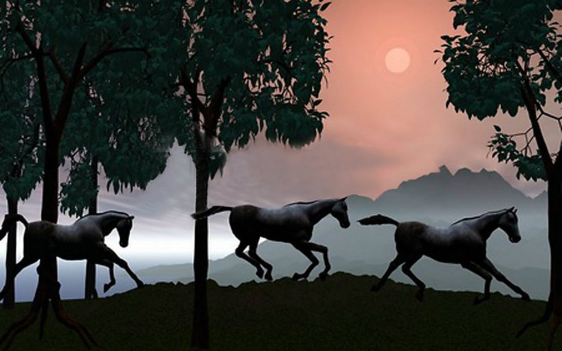 twilight_galloping.jpg