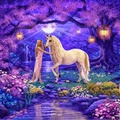 Unicorn in Fairyland