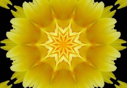 YELLOW FLOWER ABSTRACT