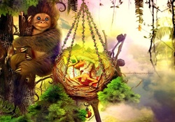 ~The Nest of Monkey~