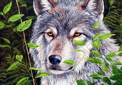 Wolf in Art