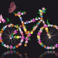 SUMMER BICYCLE
