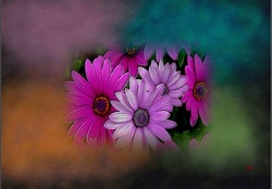 Flores&amp;colores
