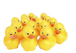 Bathing ducks