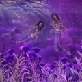 Purple Mermaids