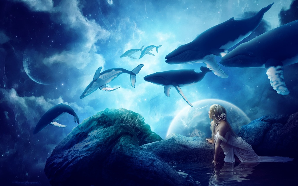 Underwater Fantasy