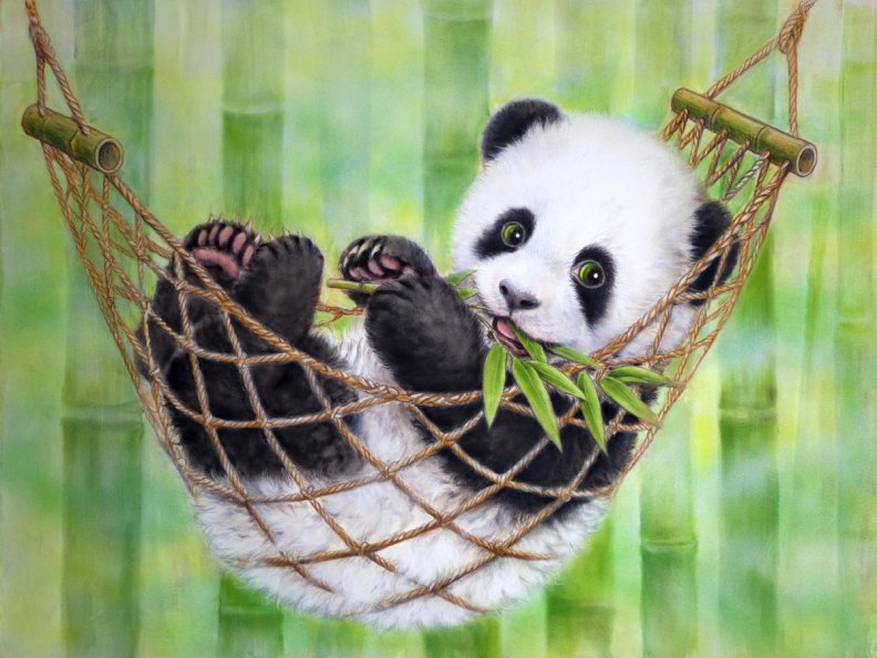 Cute panda in hammock