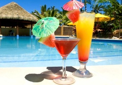 paradise cocktails