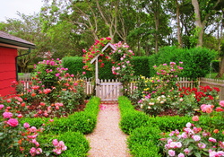 Lovely garden