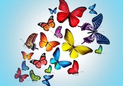 Butterflies in aqua