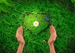 Green Love for~Nature Protection~