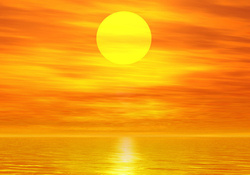 Golden sunset