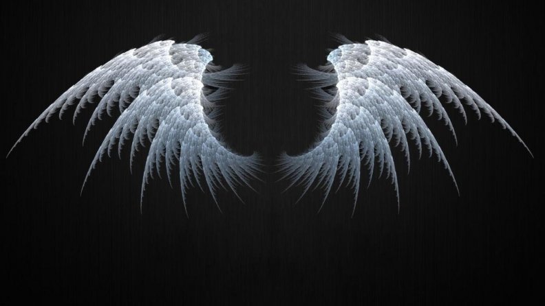 wings.jpg