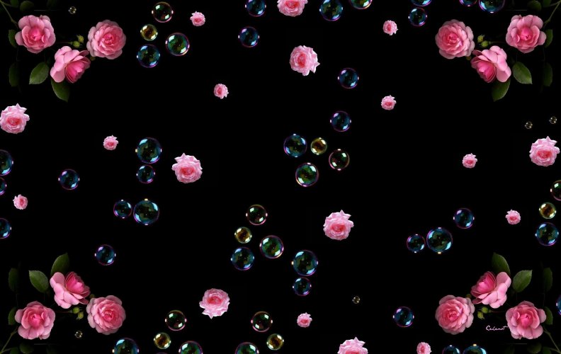 roses_and_bubbles.jpg