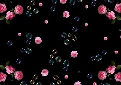 Roses and Bubbles