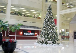 Mall at Christmas in Toronto Ontario Canada