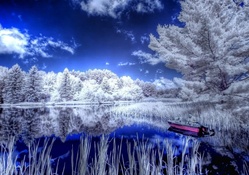 amazing photo of fishing on a blue lake