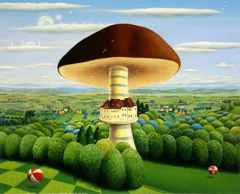 mushroom_home.jpg