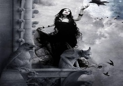 Witch And Crows