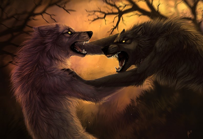 werewolves_fighting.jpg
