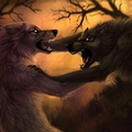 Werewolves Fighting
