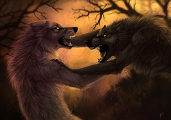 Werewolves Fighting