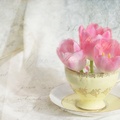 A Cup Of Tulips