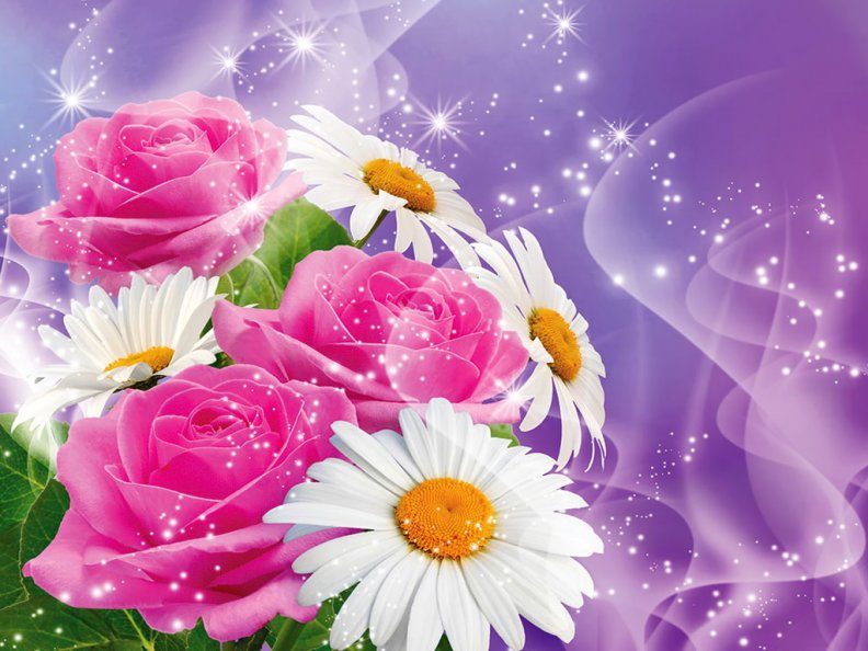 Roses and daisies background