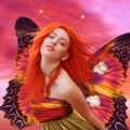 Bright Butterfly Fairy