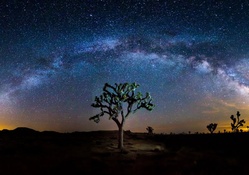 stars and the milky way above a desert