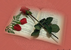 ROSES ON BOOK