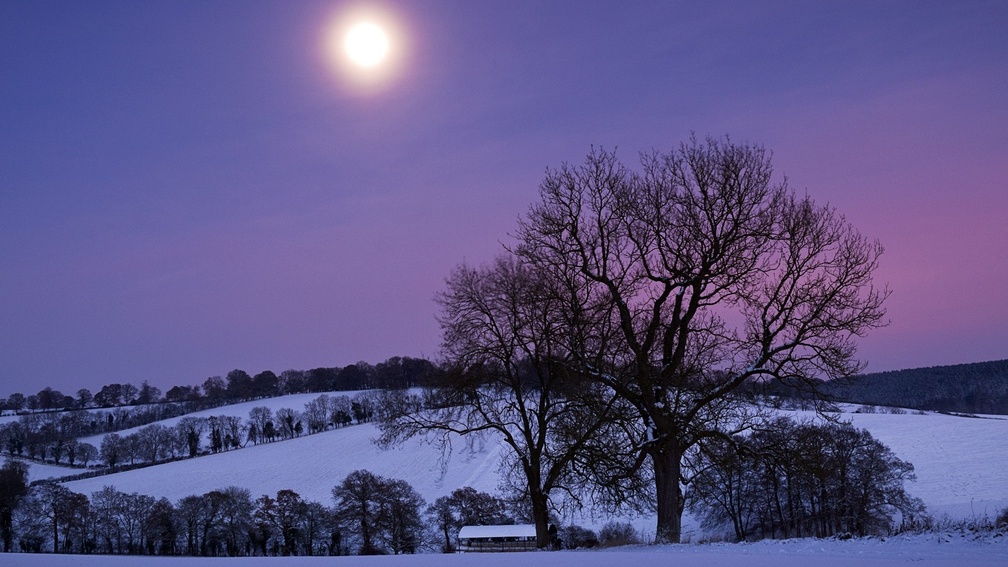 a hazy moon over winter landscape