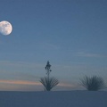 Moonrise over the desert