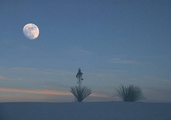 Moonrise over the desert
