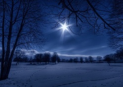 moonlight over meadow in winter