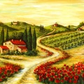 Tuscan poppies