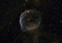 Sharpless 308 Star Bubble